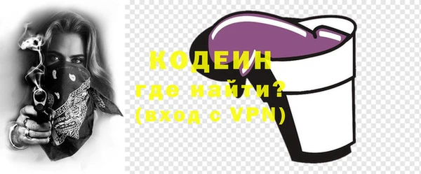мдпв Новозыбков