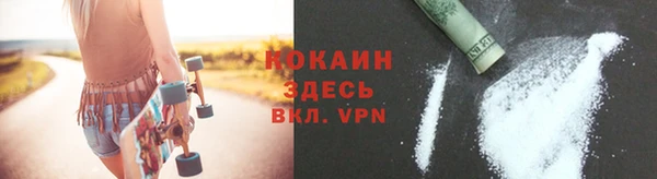 мдпв Новозыбков