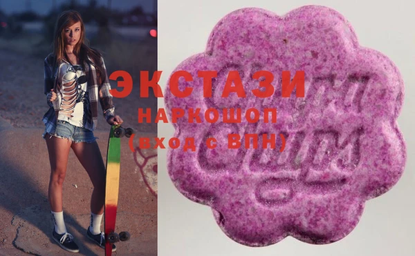 мдпв Новозыбков