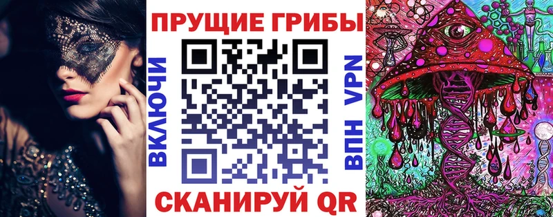 Галлюциногенные грибы MAGIC MUSHROOMS  купить закладку  Рошаль 